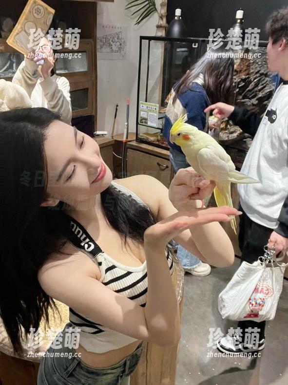 冬日里的超薄丝定制写真，山茶摄影为你绽放温暖与时尚的完美结合.txt