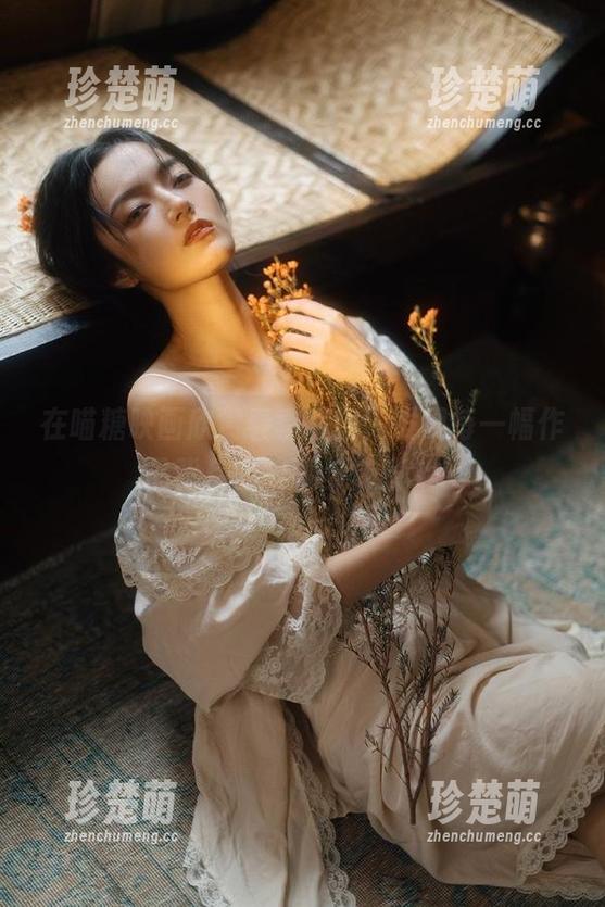 MTYH喵糖映画 在喵糖映画欣赏春季暖阳,发现每一幅作品背后的故事与情感.txt