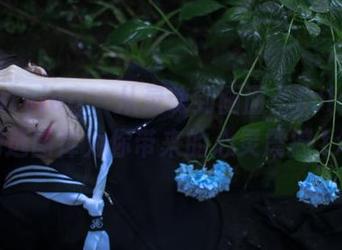 beautyleg – 从灵魂到画面:Lola修女精选图库为你带来的心灵震撼.txt