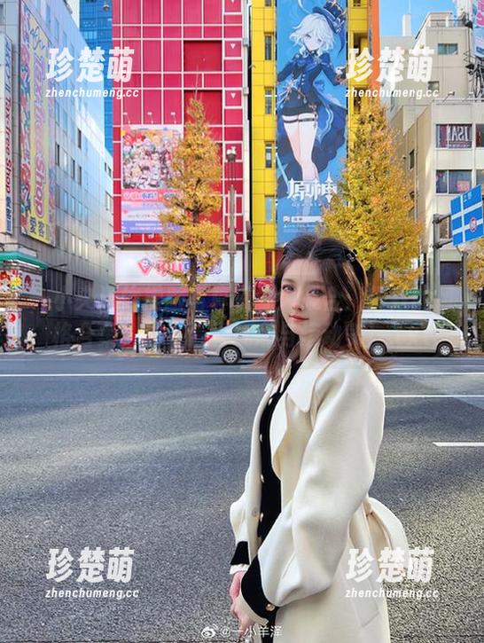 一小央泽 一小央泽体操服写真资源大集合:精致的风格合集,展现青春气息与运动美!.txt