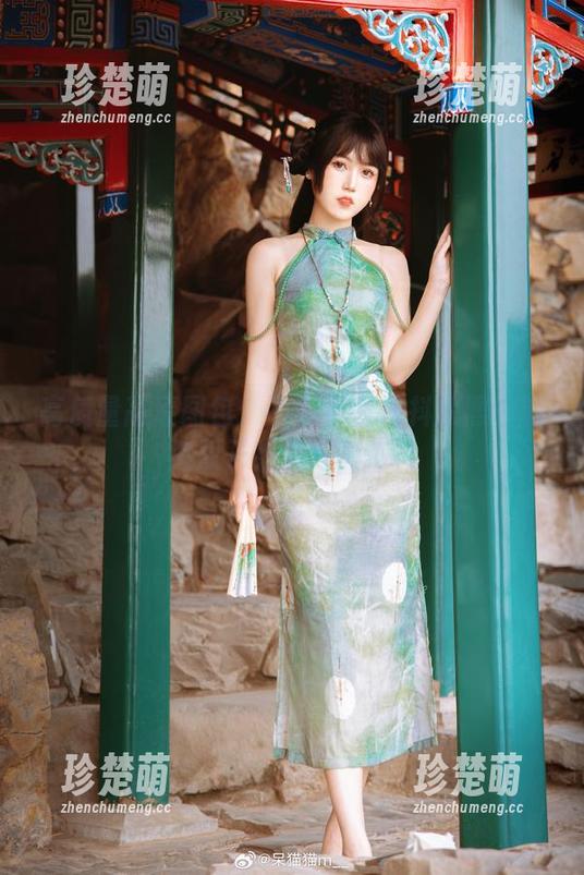 不呆猫 高质量高清图包:不呆猫呈现抖娘黑白旗袍双子绝美写真.txt