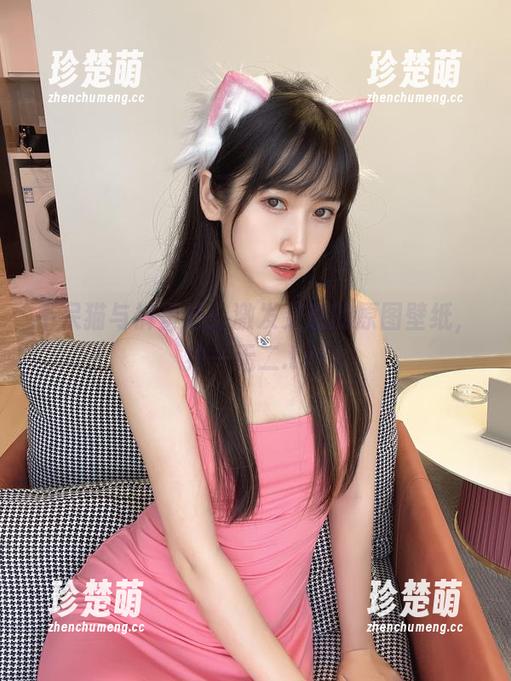 不呆猫 不呆猫与裤里丝:激发灵感的原图壁纸,独一无二.txt