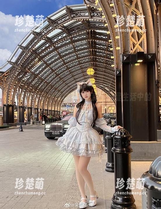 不呆猫的可爱写真图包更新，尽显生活中的小确幸与乐趣！.txt