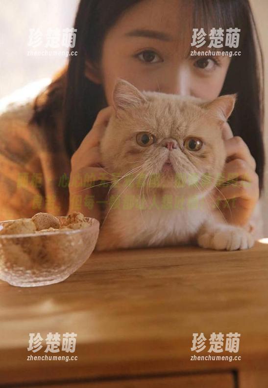 丽柜-心心 丽柜 - 心心的无圣光套图,剧情真是用心良苦,但每一帧都让人想吐槽!.txt