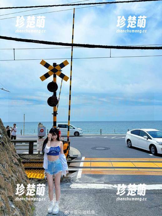 探索纯净之美：亚马逊鲶鱼写真作品《纯白》精彩图片赏析.txt