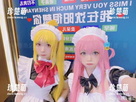 小野寺地瓜专属的学姐风格：美图与照片交织绽放，带你走进独特视觉盛宴.txt